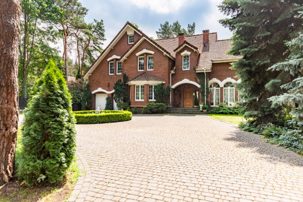 Best Best Driveway Pavers  in Tyhee, ID